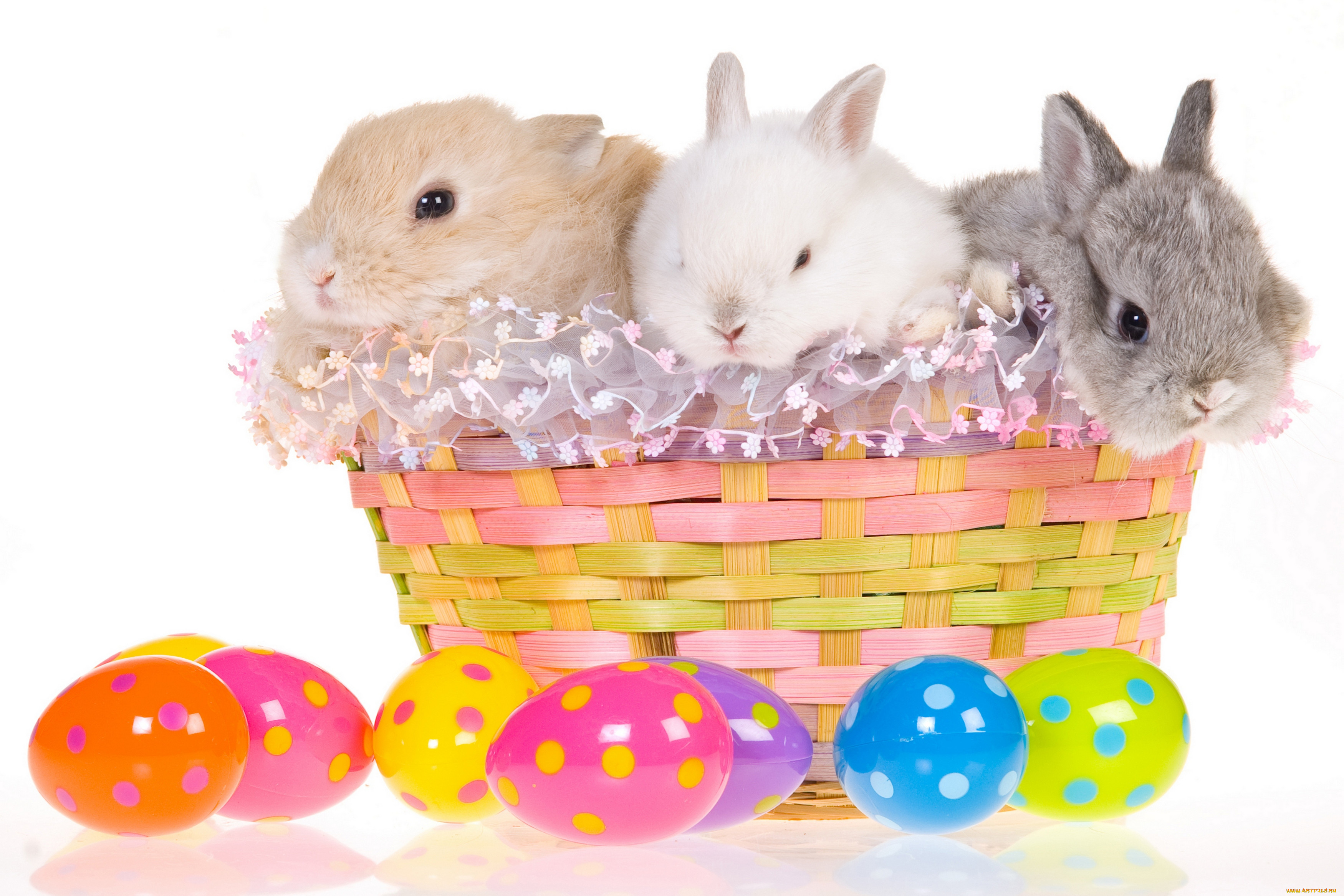 , ,  , , , easter, 